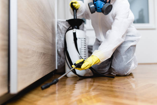 Best Affordable Pest Control Services  in Chesterland, OH