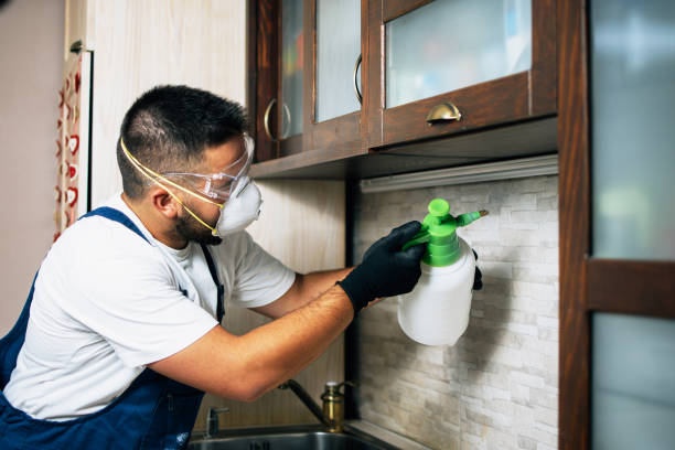 Best Rat Extermination Near Me  in Chesterland, OH