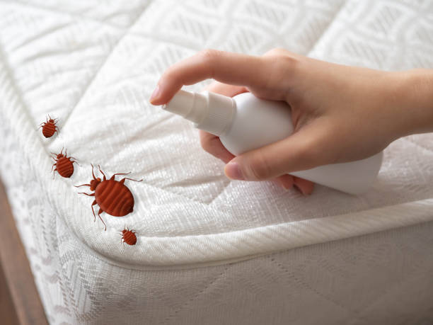 Best Emergency Pest Control  in Chesterland, OH
