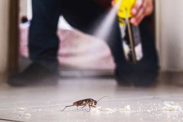 Professional Pest Control in Chesterland, OH