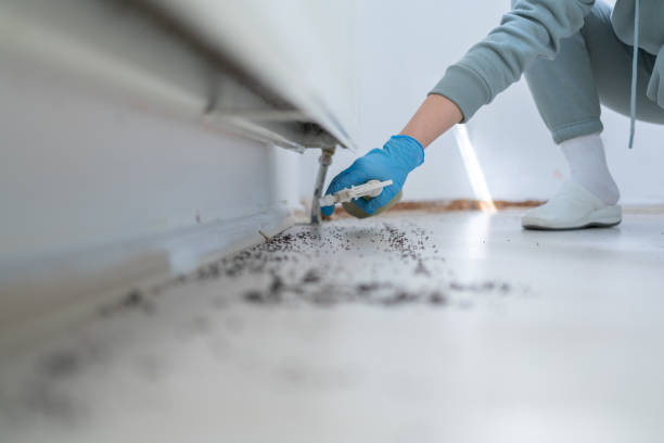 Best Pest Prevention Services  in Chesterland, OH